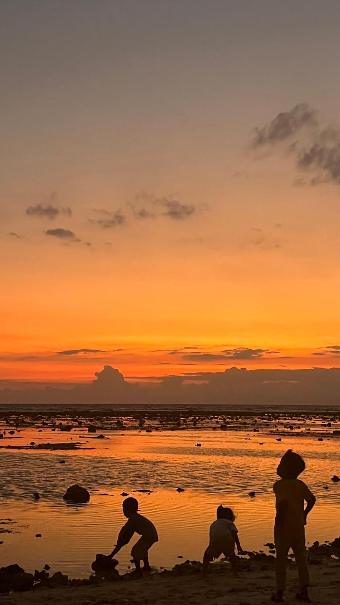 Coral Voice 1 & Lumbung Homestay Gili Trawangan